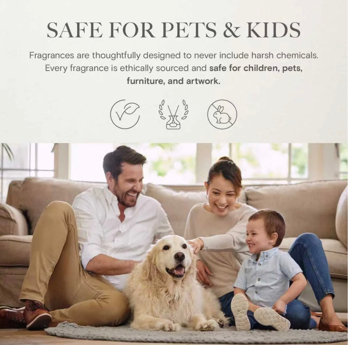 Whiffly Diffuser Air 2